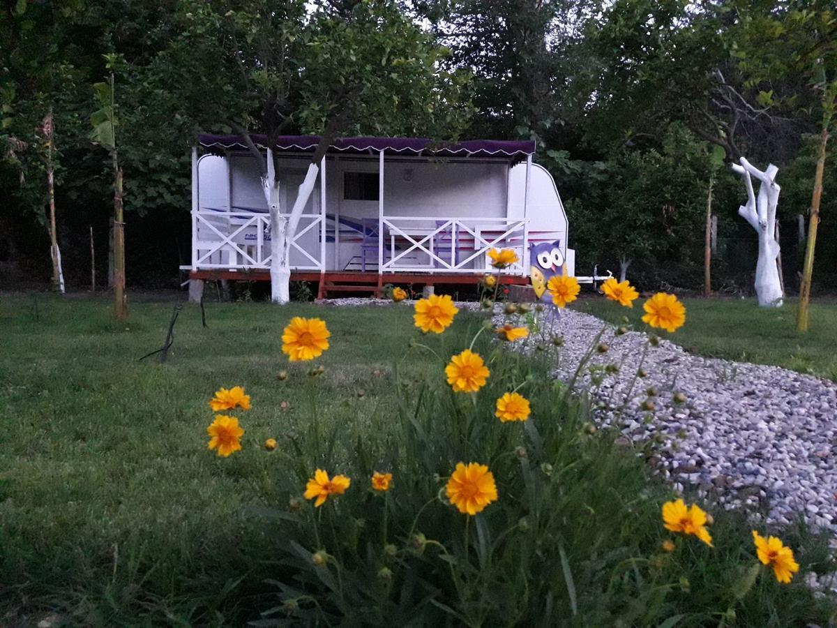 Bellerofon Caravan & Camping Çıralı Exterior foto